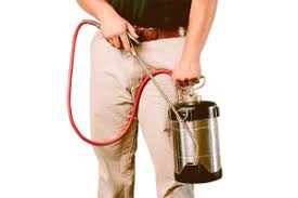 man-holding-sprayer-pesticide